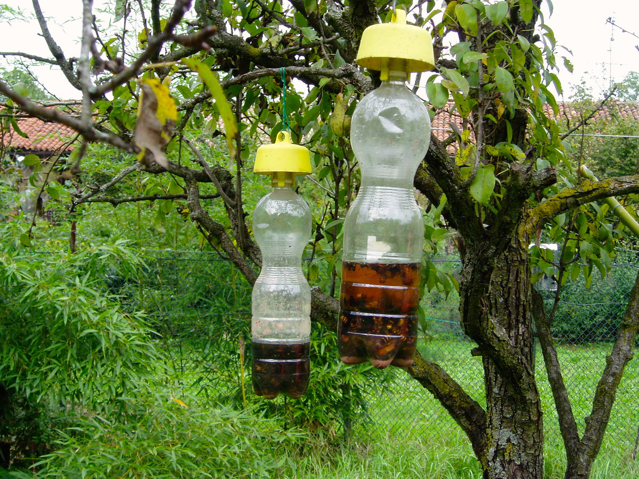 Piège à Guêpes Et Frelons (Lot De 2) - Pour Jardin Extérieur, à Suspendre, Appât Naturel